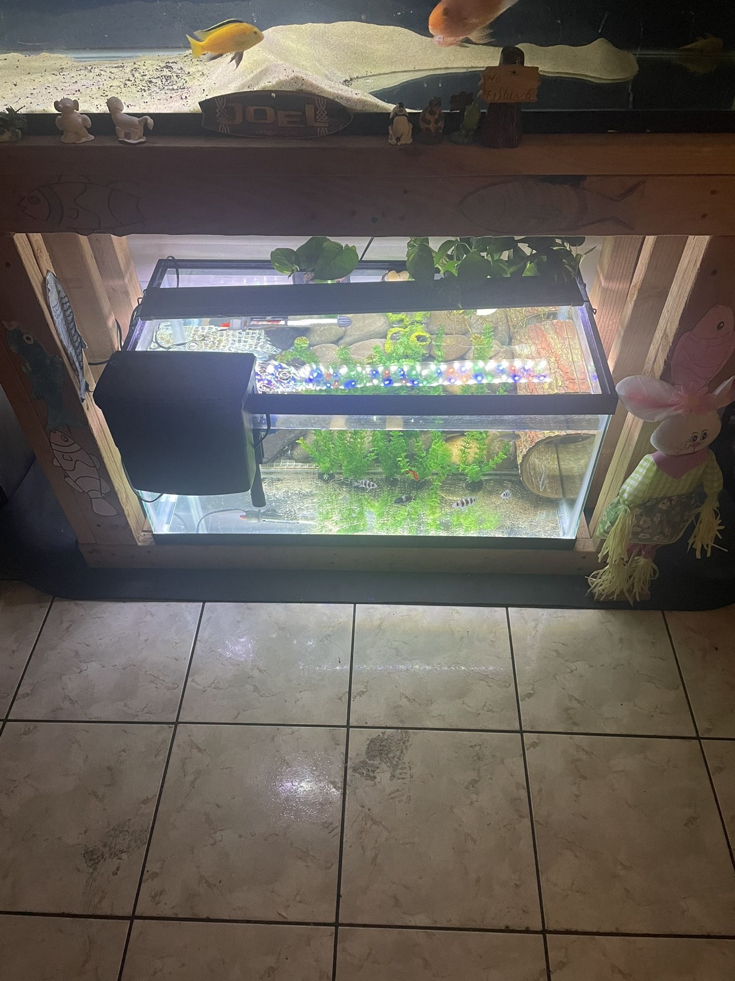 40 Gallon Fish Tank