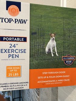 Top Paw 24”