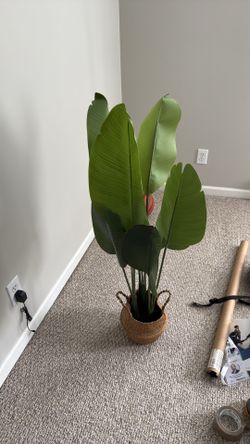 Fake plant