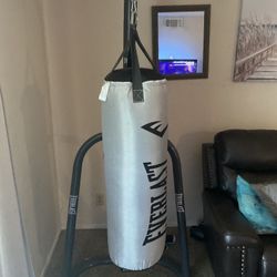 Boxing bag with stand and 2 gloves 