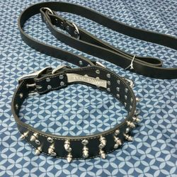 NEW SPIKE COLLAR AND LEASH