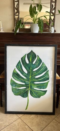 Large framed tropical Monstera leaf botanical art-26.5”-36”-  Coastal/ Boho Decor