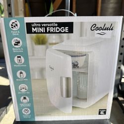 Mini Fridge