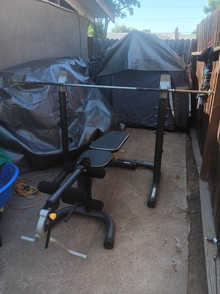 Weight Bench