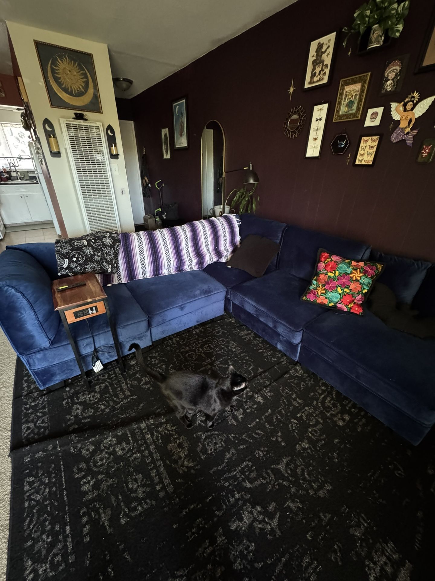 Velvet Blue Sectional Modular Couch