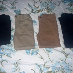 4 Dressing Up Plants 