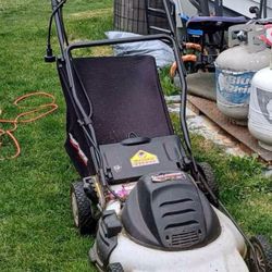 Electric Lawn Mower  W/catcher 