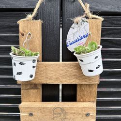 Hanging plant handmade🌱