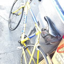 Trek Bike 