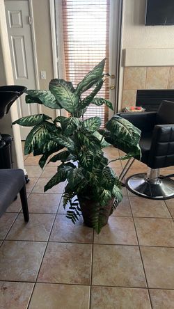 Medium size Artificial Dieffenbachia Plant in Pot
