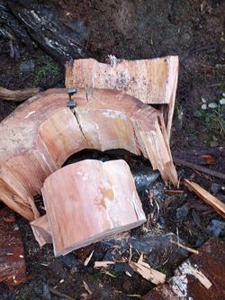 Dry firewood