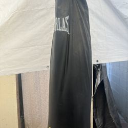 Punching Bag 