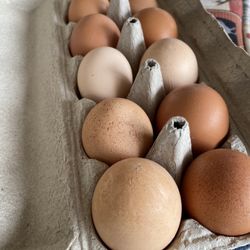 Farm Fresh Eggs