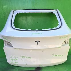 MODEL Y 2020 2021 2022 2023 2024 TAILGATE OEM