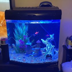 Nano Cube 24 gallon Tank, Comes With 3 Fish And A Sucker Fish And Everything Seen Inside Plus The Add One Shown. 