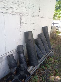 Free black potting containers