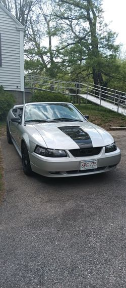 2000 Ford Mustang