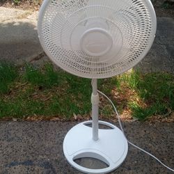 Oscillating Pedestal 3 Speed Fan WORKS PERFECT 
