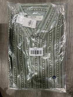 Hollister Large