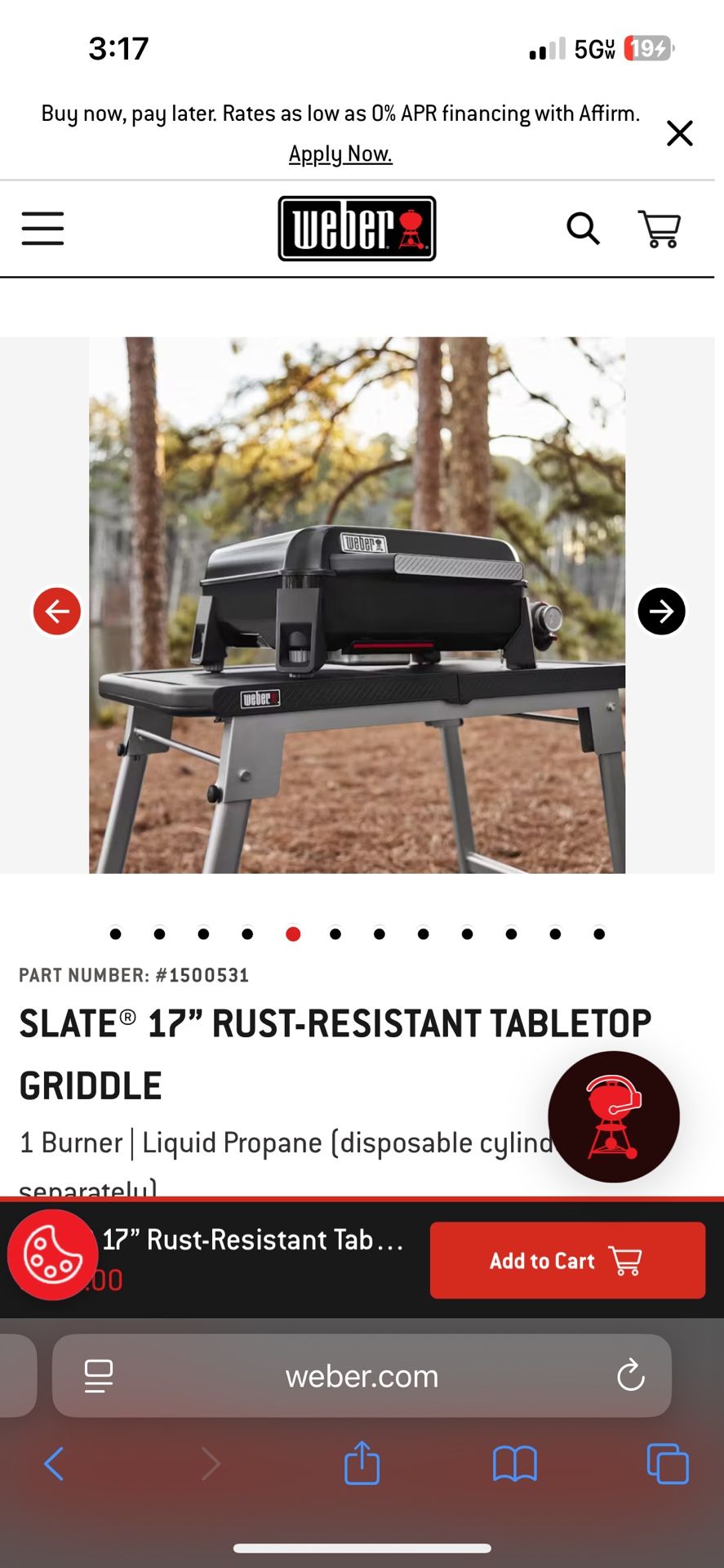 Weber Slate Grill