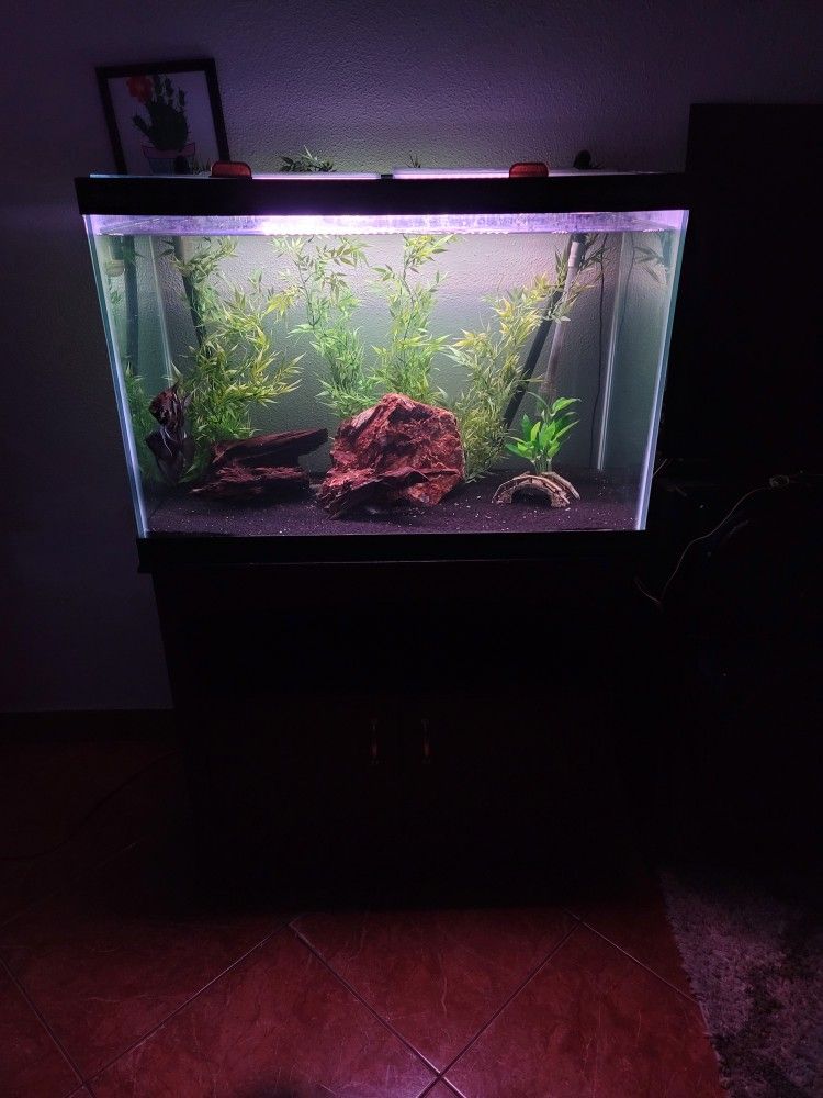 65 Gallon Fish Tank And Stand / Aquarium 