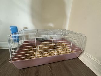 Se Vende Jaula De Conejo 