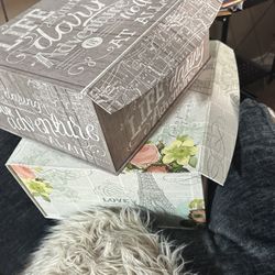 Set Of 2 Storage Boxes