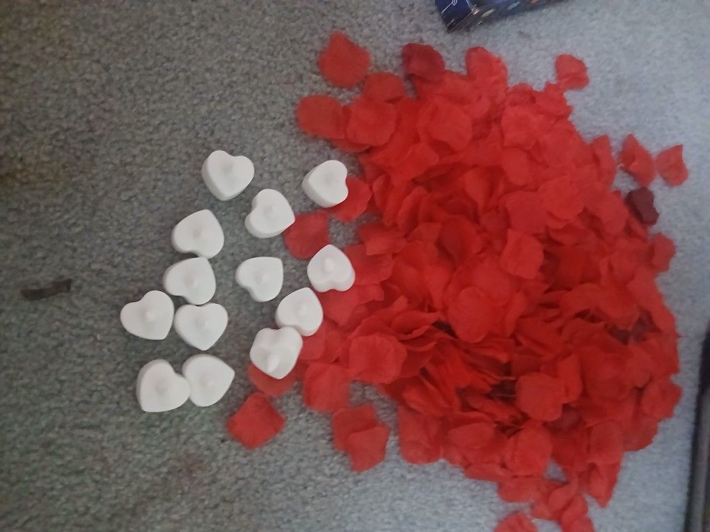 LED Heart Shaped Lights With 100s Of Rose Petals