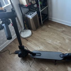New E-scooter Great For beginners