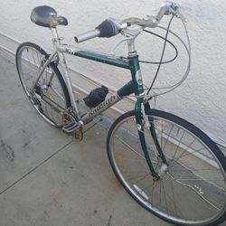 Men's 700c Raleigh C30 Hybrid Bike 