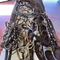 Horse Tack Lot