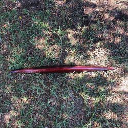 Cadillac Third Brake Light