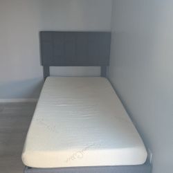 Bed Twin XL Size 