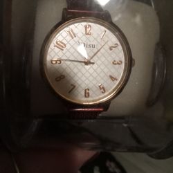 LADIES CASUAL WATCH W/MESH BAND
