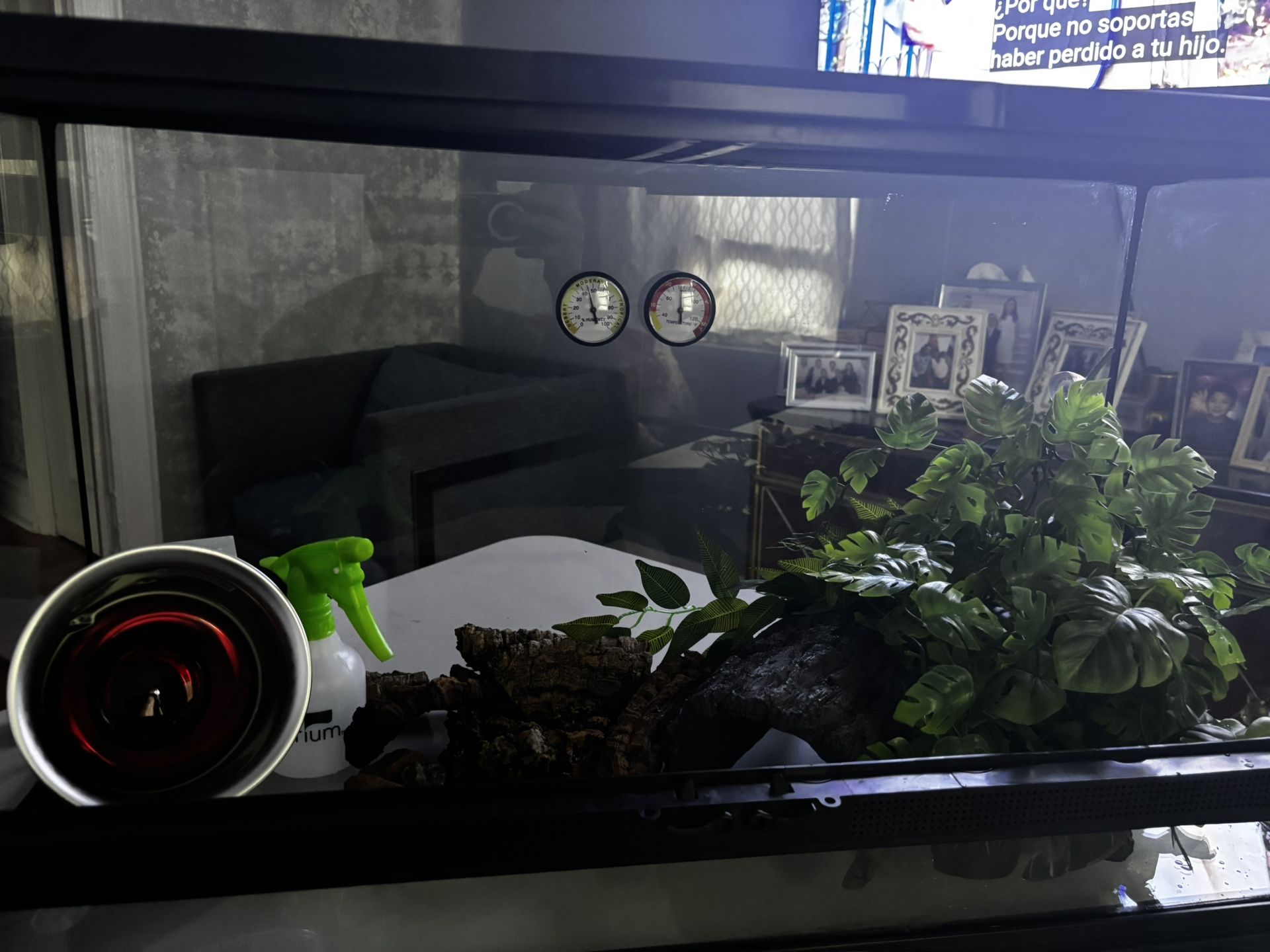 Reptile Enclosure