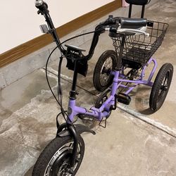 Liberty Electric trike