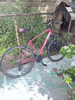 26 inch bike