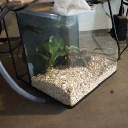 3.7 Fish Tank