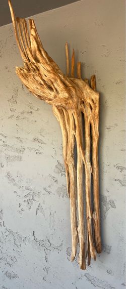 Large Natural Sahuaro Catcus Wall Art Piece