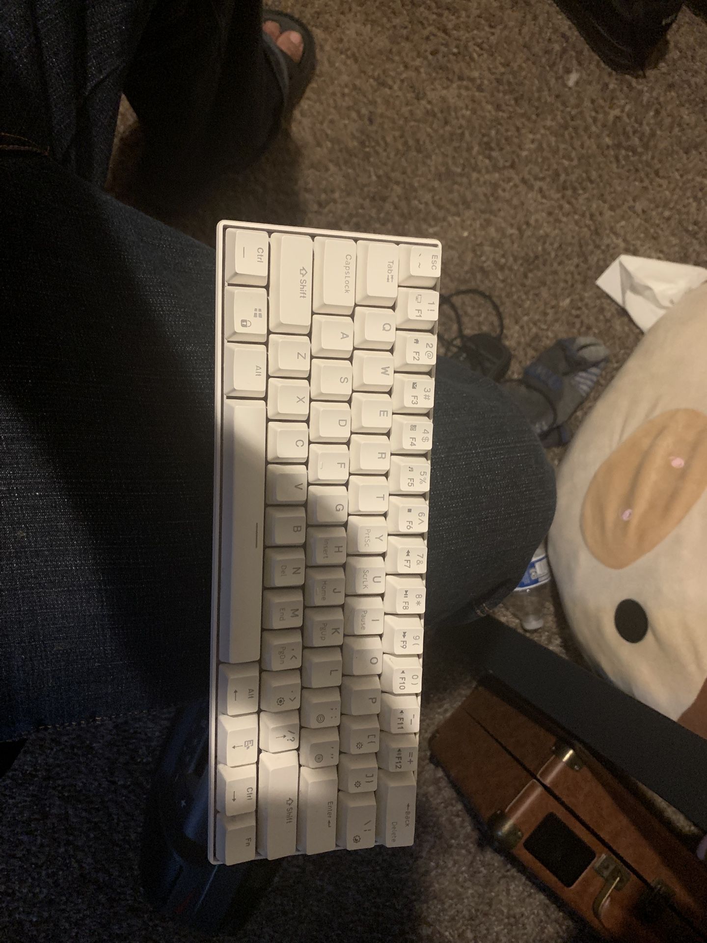 RK61