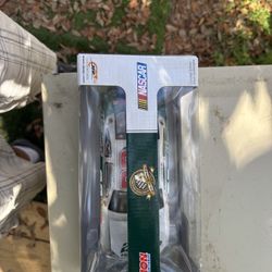 Dale Earnhardt Junior