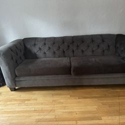 Modern Pull Out Couch 
