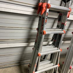 Velocity Ladder Little Giant