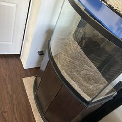 Bowfront Aquarium 