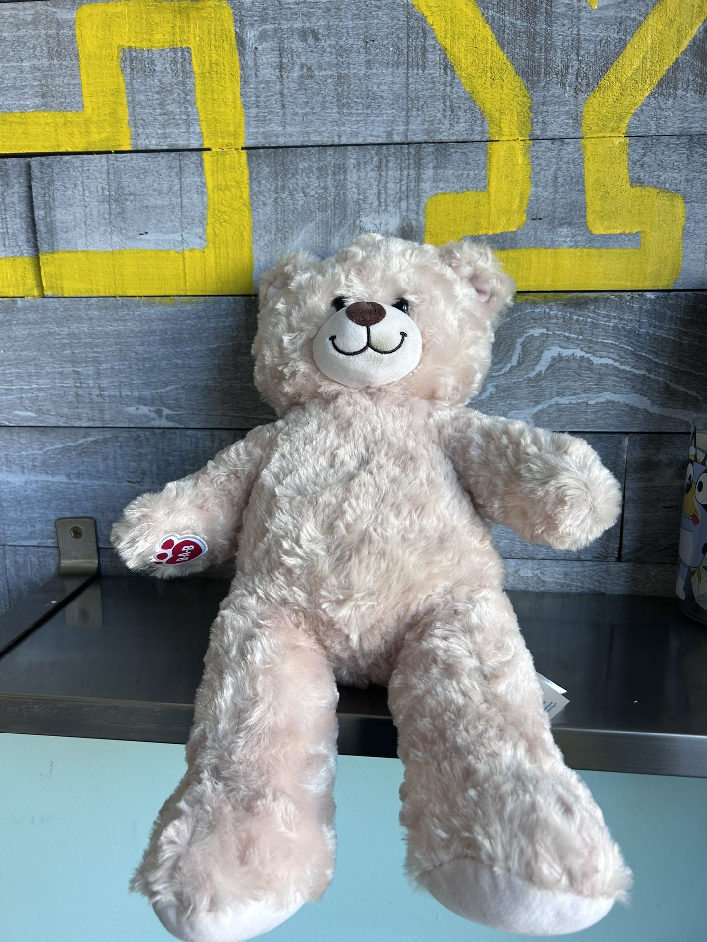 Build A Bear teddy