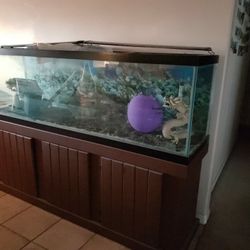 125 Gallon Tank