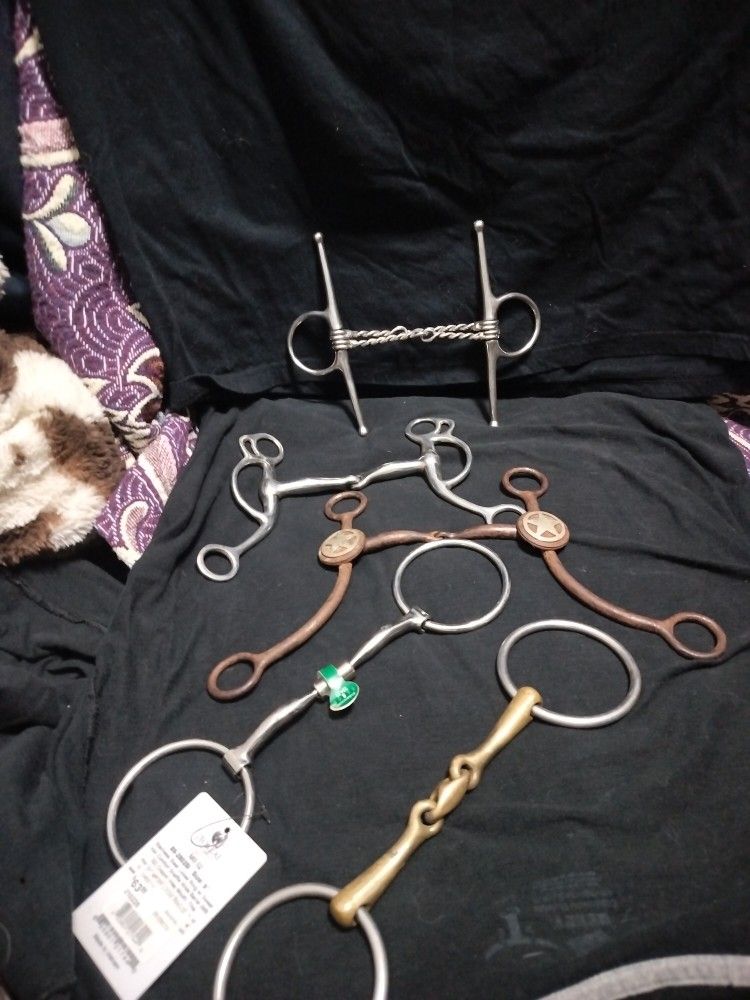 Horse Tack, Bits, Spurs, Youth chaps Price OBO