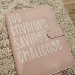 100 Envelope Savings Challenge
