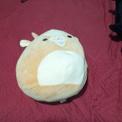 Not Free Shoot Me An Offer