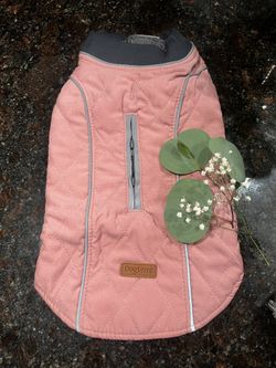 Cute Pink Dog Sweater
